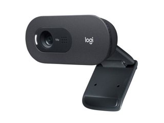 Webcam Logitech C505 HD (960-001363)