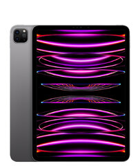 Ipad Pro 11'' M2 Chip 128gb Wifi 4th Gen (2022) Space Gray