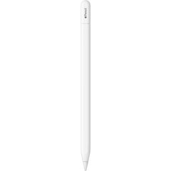 Apple Pencil (1ra Generacion) MUWA3AM/A con USB-C adapter