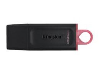 Pendrive Kingston 256GB Modelo DTX usb 3.2