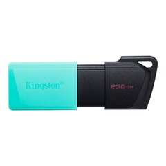 Pendrive Kingston 256GB Exodia M Usb 3.2 (DTXM/256GB)