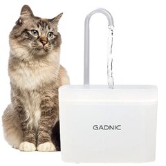 Bebedero Fuente Para Beber Automático Gadnic PET09 Recirculación de Agua (Transparente)